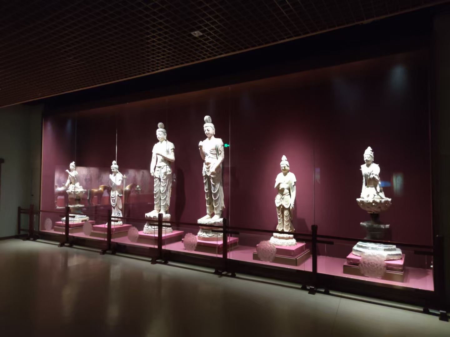 河南新乡专区医学院